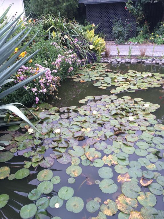 Water Lily Garden Bed & Breakfast Christchurch Exterior photo