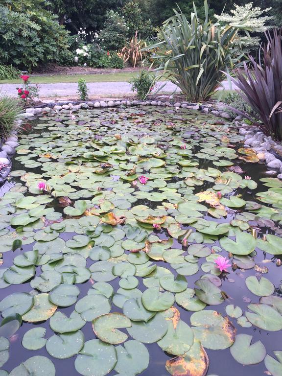 Water Lily Garden Bed & Breakfast Christchurch Exterior photo