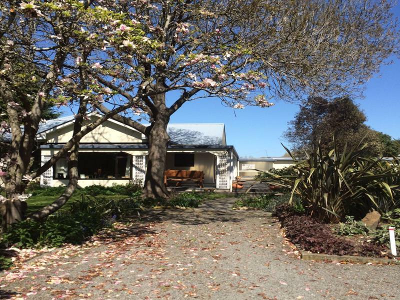 Water Lily Garden Bed & Breakfast Christchurch Exterior photo