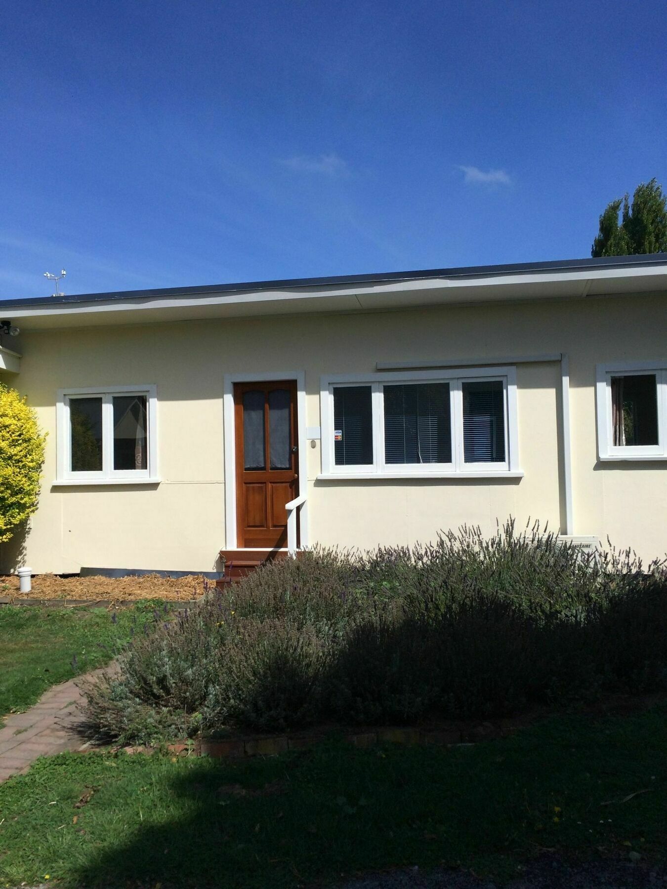 Water Lily Garden Bed & Breakfast Christchurch Exterior photo