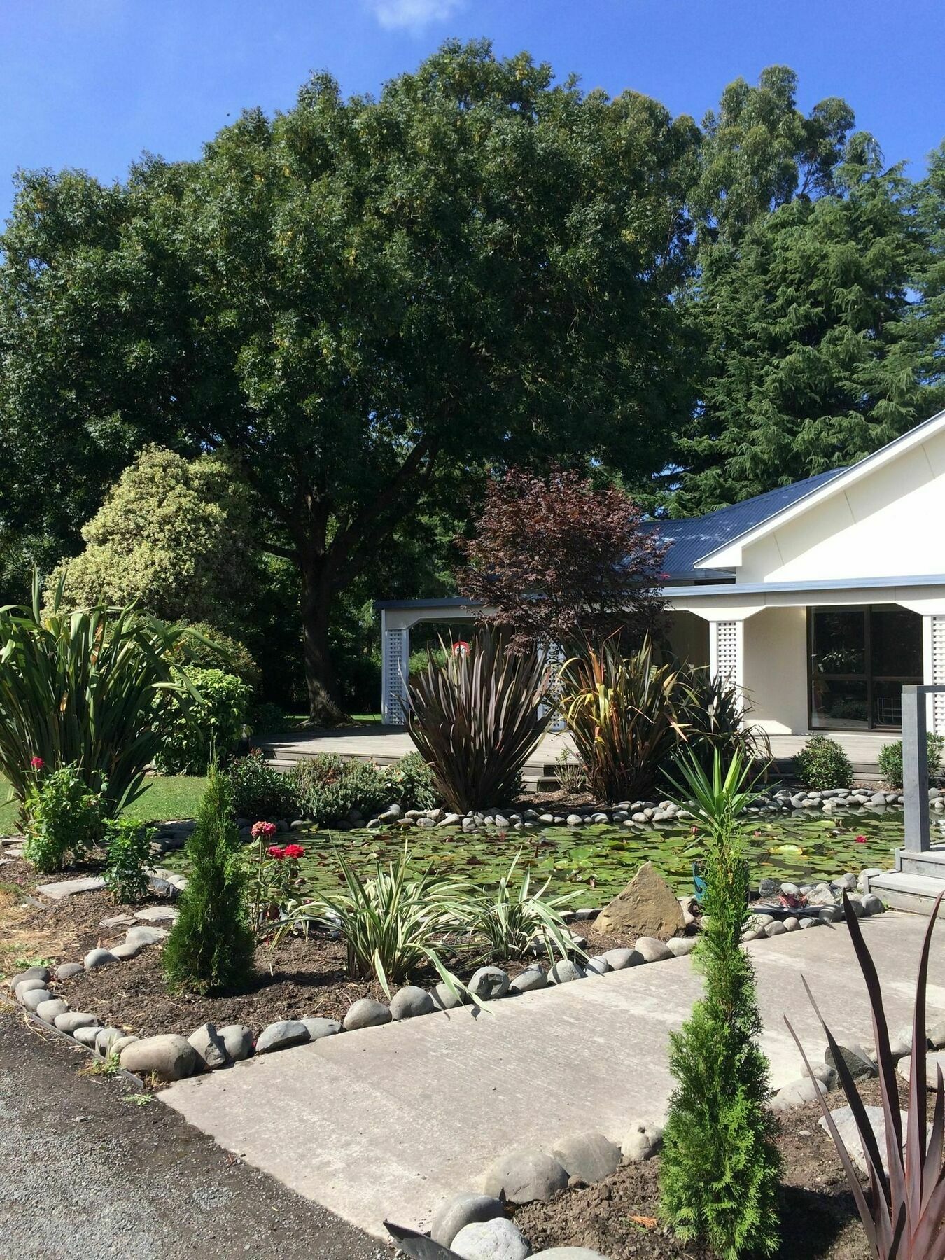 Water Lily Garden Bed & Breakfast Christchurch Exterior photo